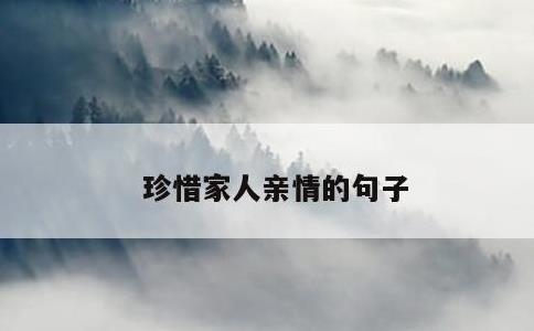 珍惜家人亲情的句子