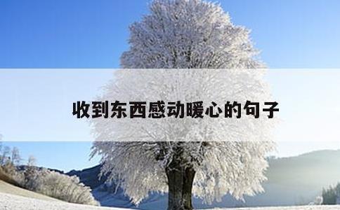 收到东西感动暖心的句子