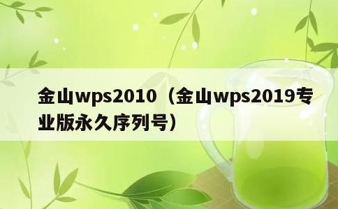 金山wps2010，金山wps2019专业版永久序列号