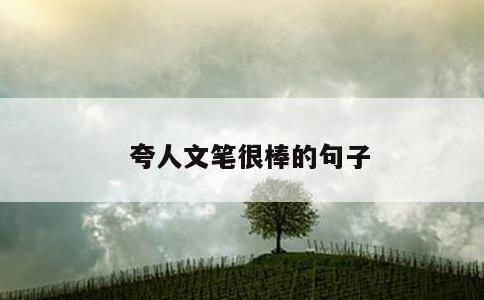 夸人文笔很棒的句子