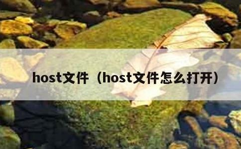 host文件，host文件怎么打开