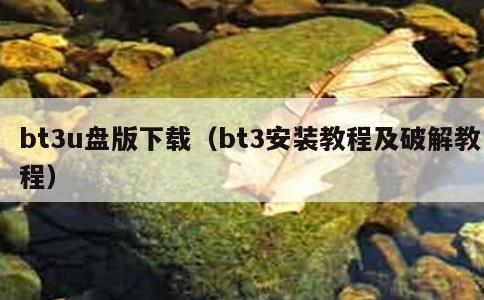 bt3u盘版下载，bt3安装教程及破解教程