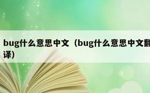 bug什么意思中文，bug什么意思中文翻译