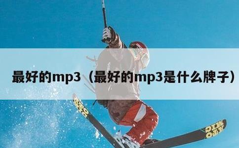 最好的mp3，最好的mp3是什么牌子