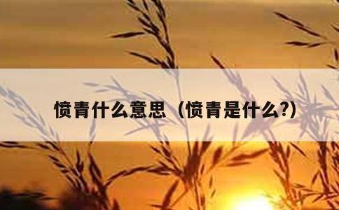 愤青什么意思，愤青是什么?