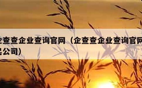 企查查企业查询官网，企查查企业查询官网凸起公司