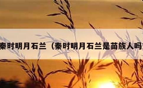 秦时明月石兰，秦时明月石兰是苗族人吗?