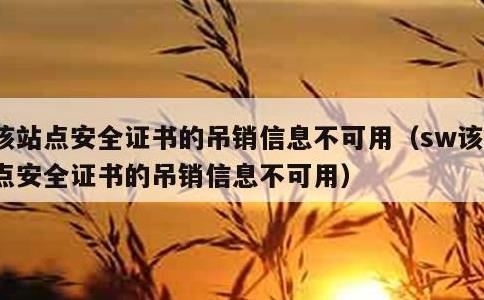 该站点安全证书的吊销信息不可用，sw该站点安全证书的吊销信息不可用