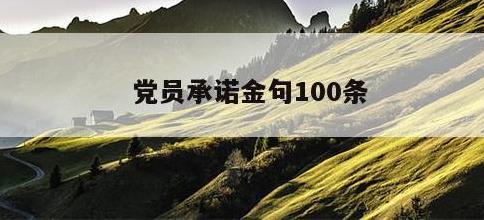 党员承诺金句100条