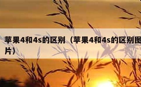 苹果4和4s的区别，苹果4和4s的区别图片