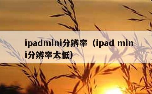 ipadmini分辨率，ipad mini分辨率太低