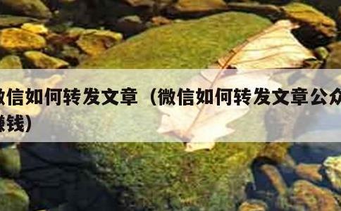 微信如何转发文章，微信如何转发文章公众号赚钱