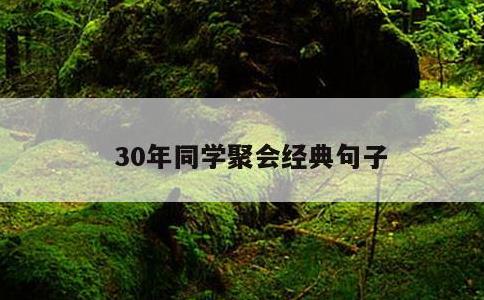 30年同学聚会经典句子