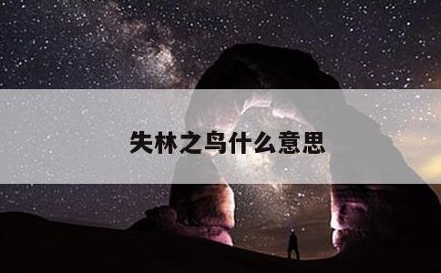 失林之鸟什么意思