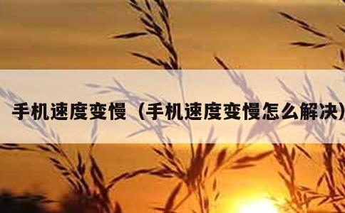 手机速度变慢，手机速度变慢怎么解决