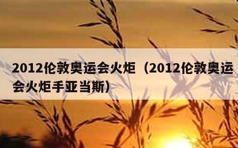 2012伦敦奥运会火炬，2012伦敦奥运会火炬手亚当斯