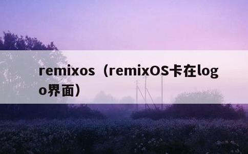 remixos，remixOS卡在logo界面