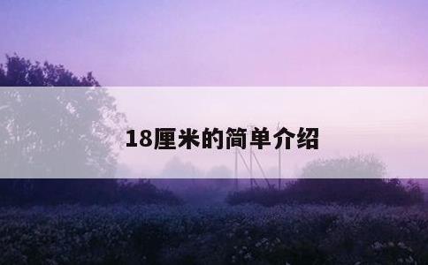 18厘米的简单介绍