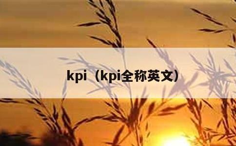 kpi，kpi全称英文