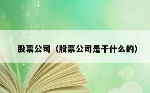 股票公司，股票公司是干什么的