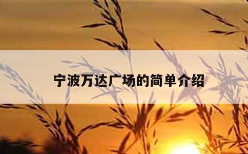 宁波万达广场的简单介绍