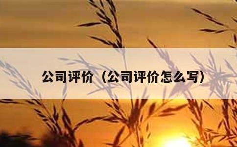 公司评价，公司评价怎么写