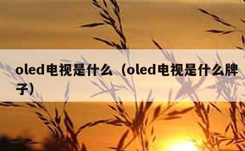 oled电视是什么，oled电视是什么牌子