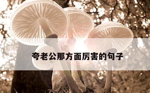 夸老公那方面厉害的句子