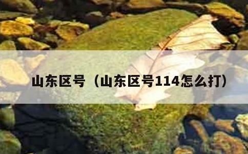 山东区号，山东区号114怎么打