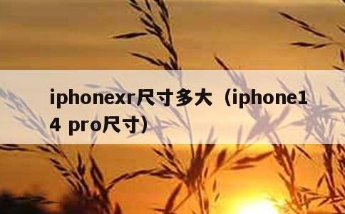 iphonexr尺寸多大，iphone14 pro尺寸