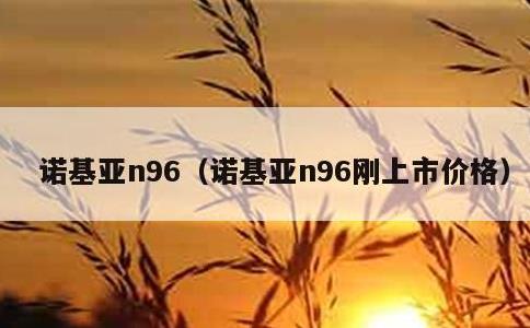 诺基亚n96，诺基亚n96刚上市价格