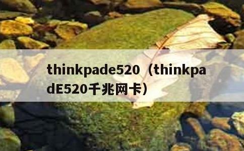 thinkpade520，thinkpadE520千兆网卡