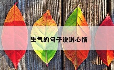 生气的句子说说心情