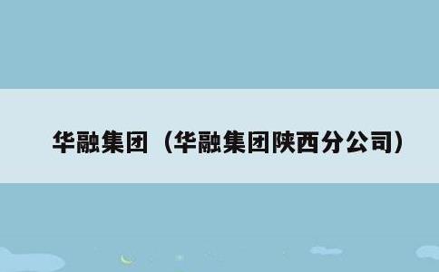 华融集团，华融集团陕西分公司