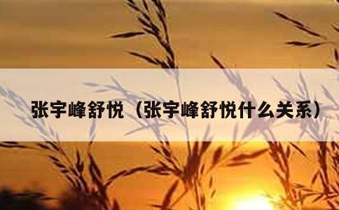 张宇峰舒悦，张宇峰舒悦什么关系