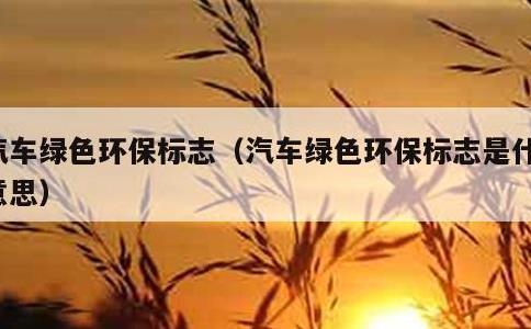 汽车绿色环保标志，汽车绿色环保标志是什么意思