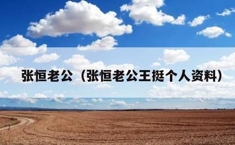 张恒老公，张恒老公王挺个人资料