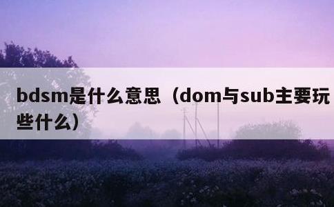 bdsm是什么意思，dom与sub主要玩些什么