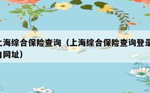 上海综合保险查询，上海综合保险查询登录入口网址