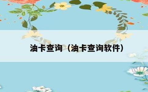 油卡查询，油卡查询软件