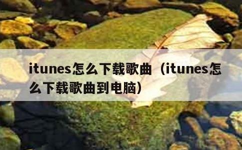 itunes怎么下载歌曲，itunes怎么下载歌曲到电脑