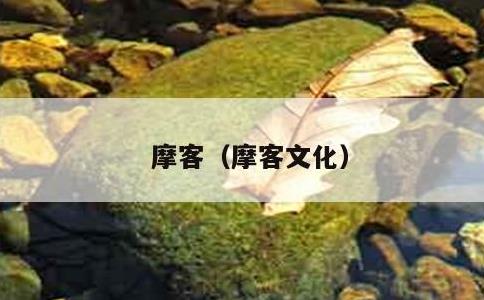 摩客，摩客文化