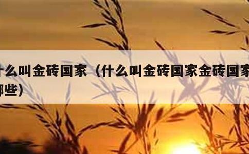 什么叫金砖国家，什么叫金砖国家金砖国家有哪些