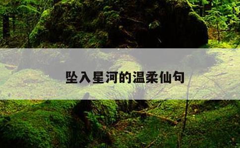 坠入星河的温柔仙句