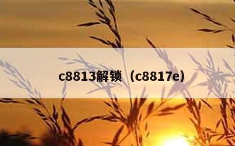 c8813解锁，c8817e