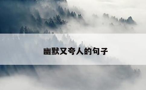 幽默又夸人的句子