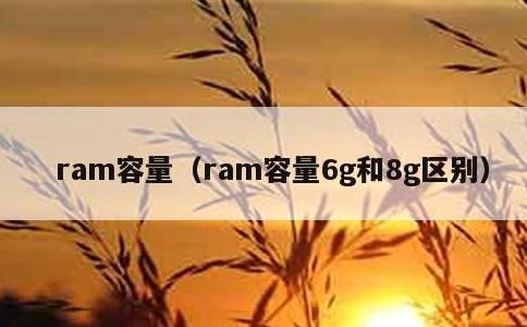 ram容量，ram容量6g和8g区别