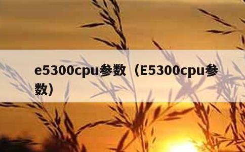 e5300cpu参数，E5300cpu参数