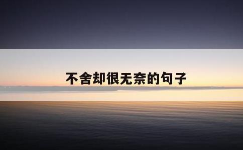 不舍却很无奈的句子