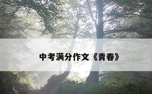 中考满分作文《青春》